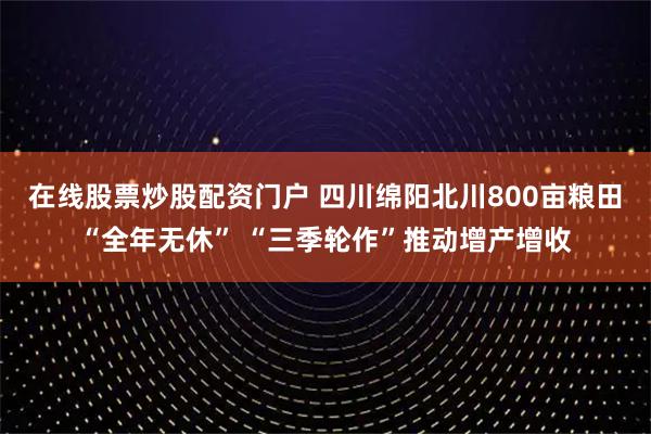 在线股票炒股配资门户 四川绵阳北川800亩粮田“全年无休” “三季轮作”推动增产增收